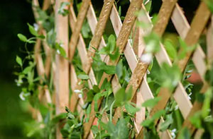 Fencing Contractors Carnforth Lancashire